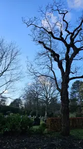 Leentje 06 Kerkhof 2